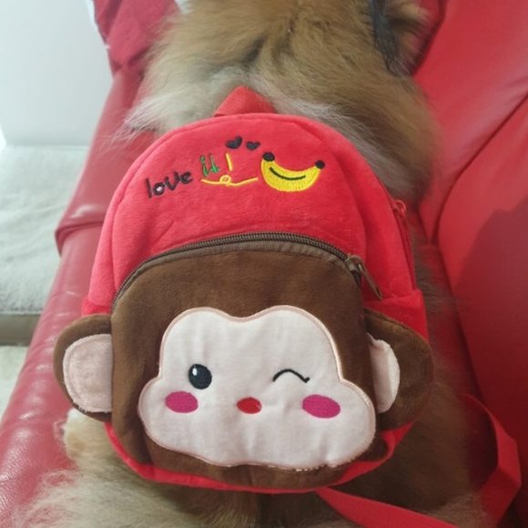 Cartoon Printed Pet Backpack - Picture 5 of 5